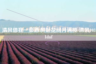 清风借我一壶酒,醉卧花间月满楼 清风1031dnf