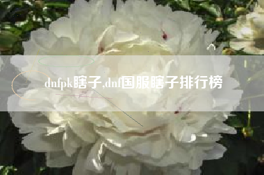 dnfpk瞎子,dnf国服瞎子排行榜
