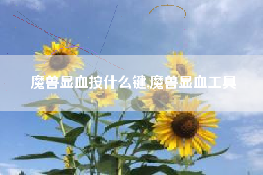 魔兽显血按什么键,魔兽显血工具
