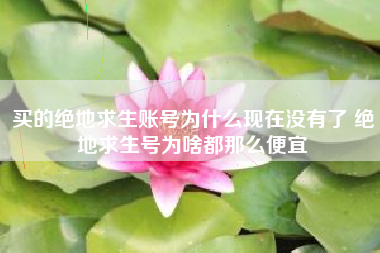 买的绝地求生账号为什么现在没有了 绝地求生号为啥都那么便宜