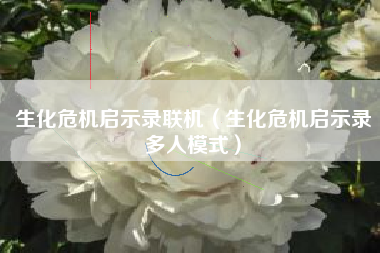 生化危机启示录联机（生化危机启示录多人模式）