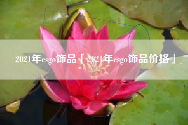 2021年csgo饰品「2021年csgo饰品价格」