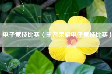 电子竞技比赛（王者荣耀电子竞技比赛）