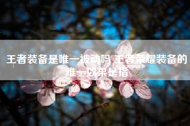 王者装备是唯一被动吗 王者荣耀装备的唯一效果是指