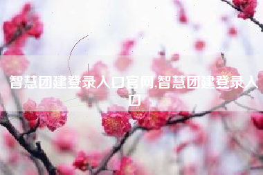 智慧团建登录入口官网,智慧团建登录入口