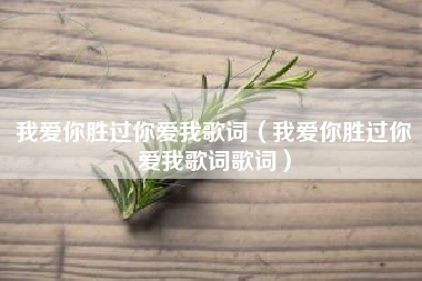 我爱你胜过你爱我歌词（我爱你胜过你爱我歌词歌词）