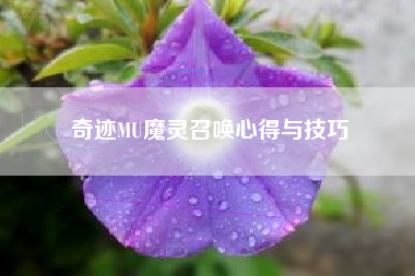 奇迹MU魔灵召唤心得与技巧