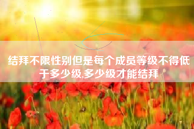 结拜不限性别但是每个成员等级不得低于多少级,多少级才能结拜