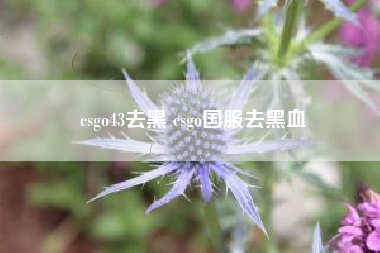 csgo43去黑 csgo国服去黑血