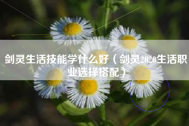 剑灵生活技能学什么好（剑灵2020生活职业选择搭配）