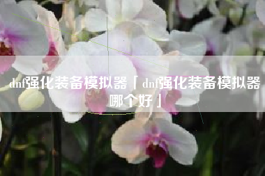 dnf强化装备模拟器「dnf强化装备模拟器哪个好」