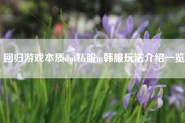 回归游戏本质dnf私服m韩服玩法介绍一览