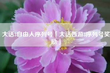 大话3自由人序列号「大话西游3序列号奖励」
