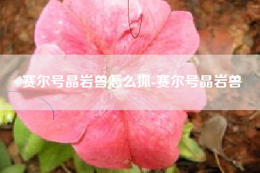赛尔号晶岩兽怎么抓-赛尔号晶岩兽