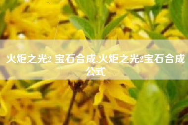 火炬之光2 宝石合成,火炬之光2宝石合成公式
