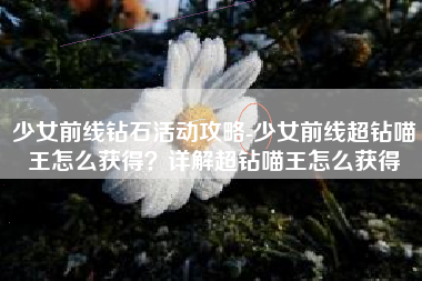 少女前线钻石活动攻略-少女前线超钻喵王怎么获得？详解超钻喵王怎么获得
