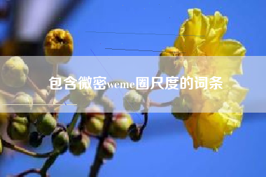 包含微密weme圈尺度的词条