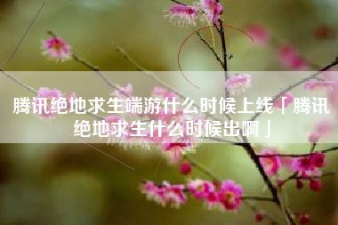 腾讯绝地求生端游什么时候上线「腾讯绝地求生什么时候出啊」