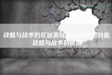 战略与战术的区别表现在,战略针对的是,战略与战术的区别
