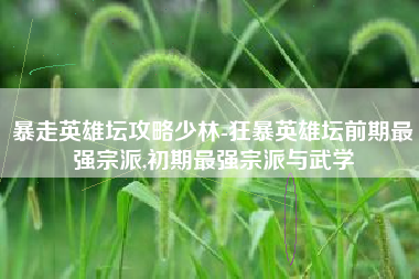 暴走英雄坛攻略少林-狂暴英雄坛前期最强宗派,初期最强宗派与武学