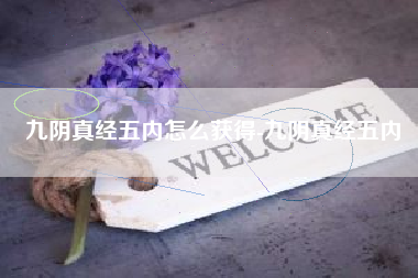 九阴真经五内怎么获得-九阴真经五内