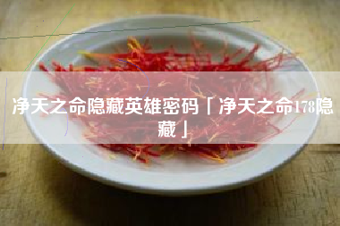 净天之命隐藏英雄密码「净天之命178隐藏」