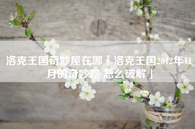 洛克王国奇妙屋在哪「洛克王国2012年11月的奇妙屋 怎么破解」