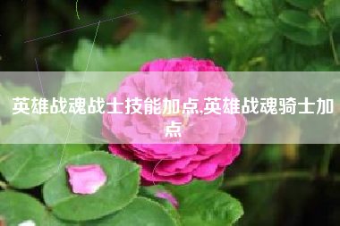 英雄战魂战士技能加点,英雄战魂骑士加点