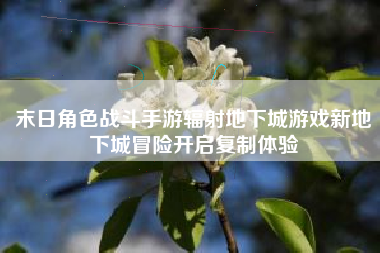 末日角色战斗手游辐射地下城游戏新地下城冒险开启复制体验