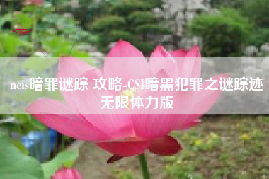 ncis暗罪谜踪 攻略-CSI暗黑犯罪之谜踪迹无限体力版