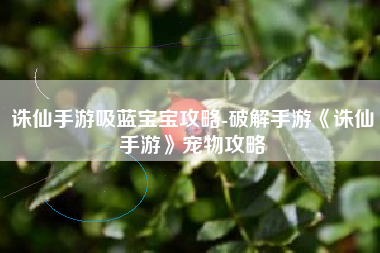 诛仙手游吸蓝宝宝攻略-破解手游《诛仙手游》宠物攻略