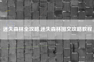 迷失森林全攻略,迷失森林图文攻略教程