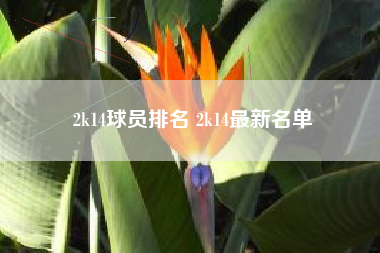 2k14球员排名 2k14最新名单