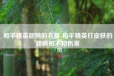 和平精英翅膀的衣服-和平精英打皮肤的翅膀扣不扣伤害