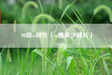90级ss碎片（ss要多少碎片）