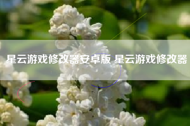 星云游戏修改器安卓版 星云游戏修改器