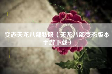 变态天龙八部私服（天龙八部变态版本手游下载）