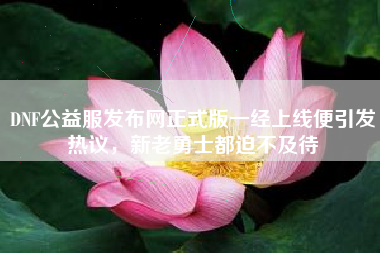DNF公益服发布网正式版一经上线便引发热议，新老勇士都迫不及待