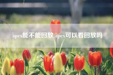 apex能不能回放 apex可以看回放吗
