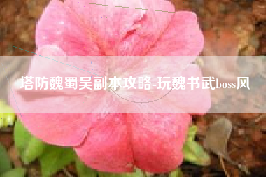 塔防魏蜀吴副本攻略-玩魏书武boss风