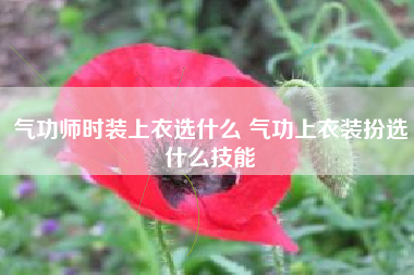 气功师时装上衣选什么 气功上衣装扮选什么技能