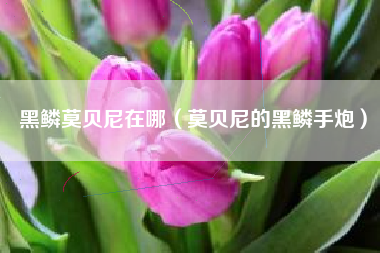 黑鳞莫贝尼在哪（莫贝尼的黑鳞手炮）