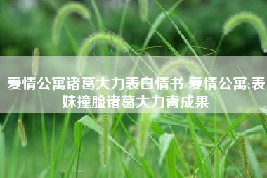 爱情公寓诸葛大力表白情书 爱情公寓:表妹撞脸诸葛大力青成果