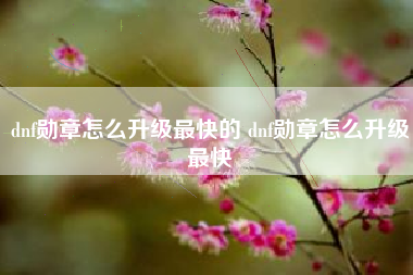 dnf勋章怎么升级最快的 dnf勋章怎么升级最快