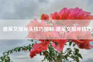 德莱文接斧头技巧图解-德莱文接斧技巧