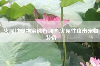 火属性宠物宝珠有哪些,火属性攻击宠物装备