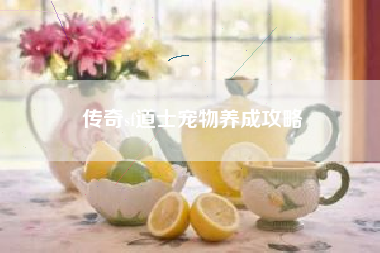 传奇sf道士宠物养成攻略
