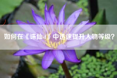 如何在《诛仙sf》中迅速提升人物等级？
