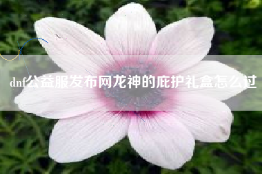 dnf公益服发布网龙神的庇护礼盒怎么过