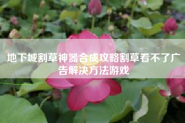 地下城割草神器合成攻略割草看不了广告解决方法游戏